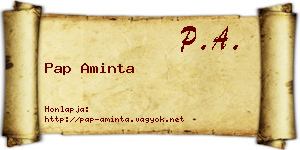 Pap Aminta névjegykártya